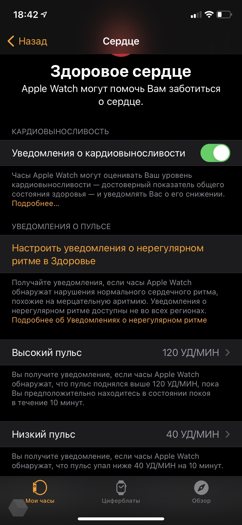 10 Funkcij Apple Watch Chtoby Privesti Svoyo Zdorove V Poryadok Rozetked Me