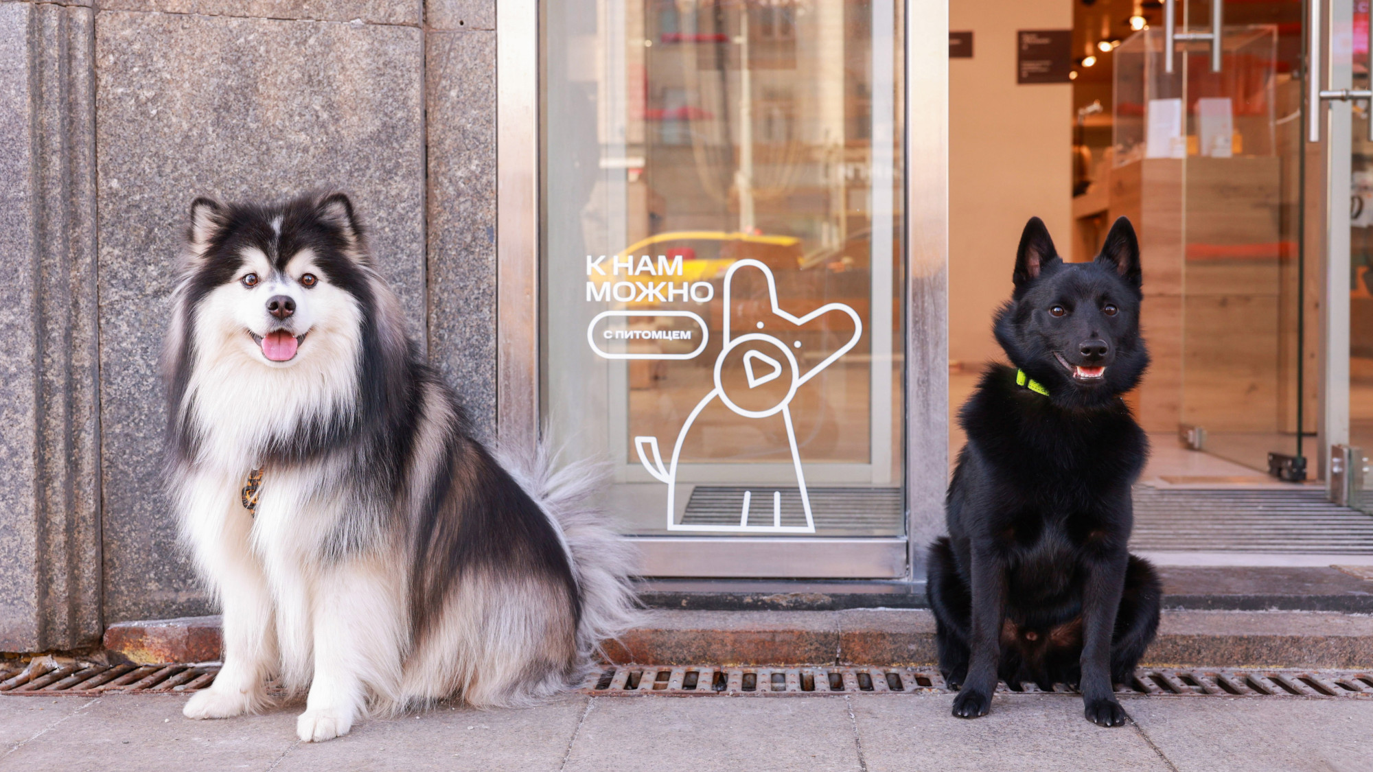 МТС открыл магазины для домашних животных