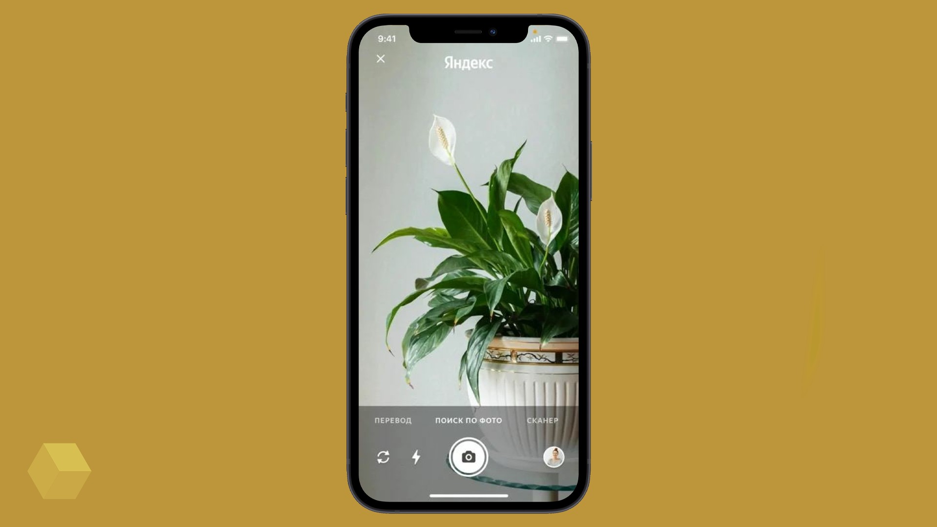 В приложении «Яндекс» появилась умная камера - Rozetked.me