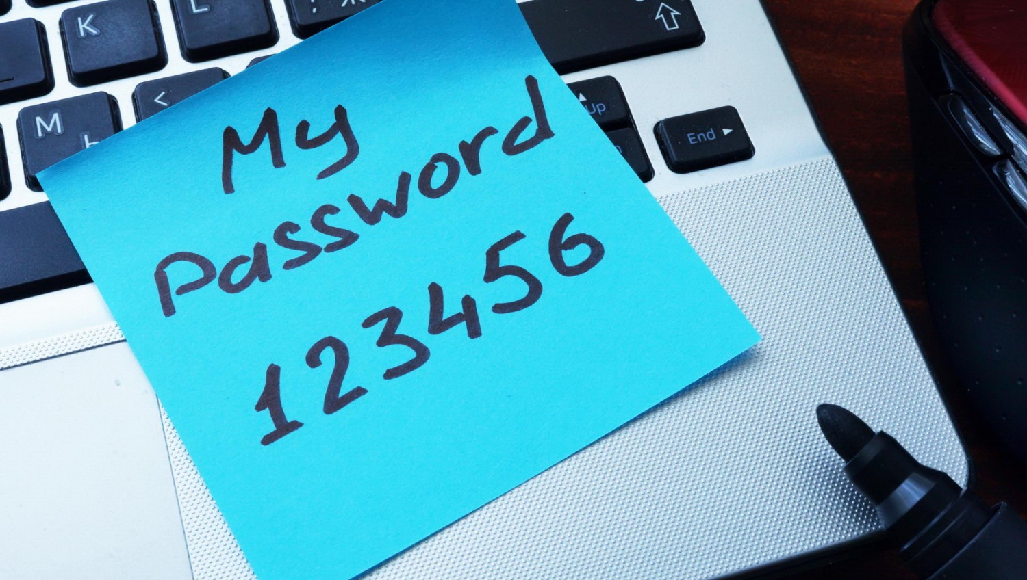 Qwerty, password, «наташа»: эксперт назвал самые популярные пароли россиян