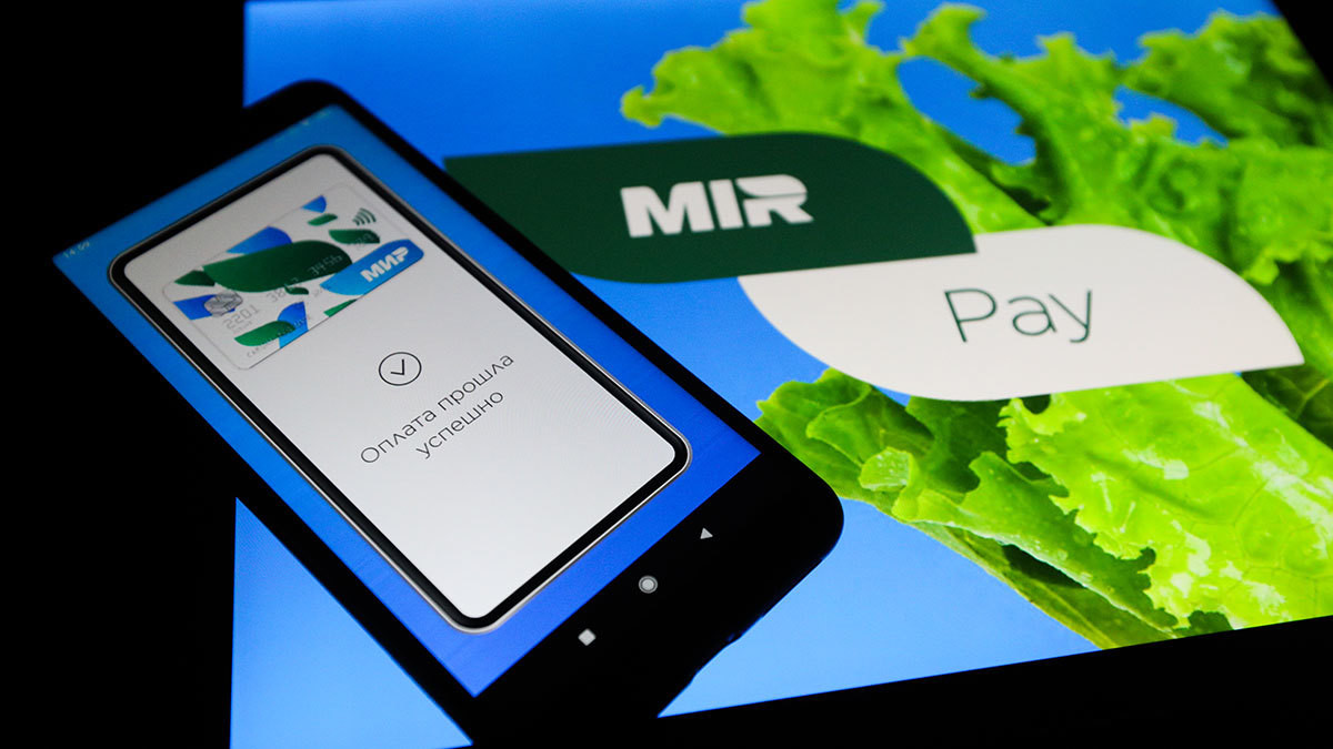 Число пользователей Mir Pay выросло за год более чем в 20 раз - Rozetked.me