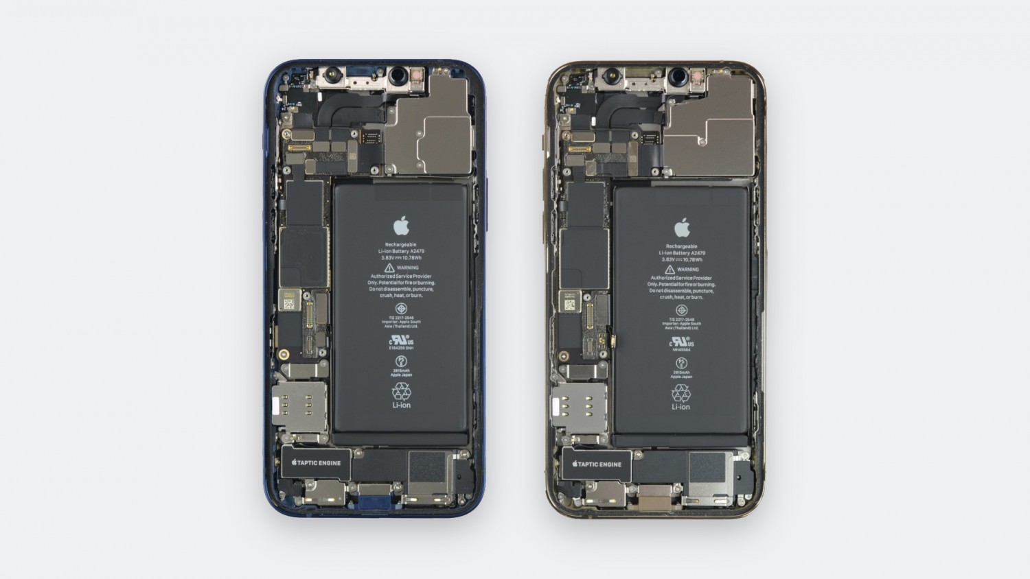iFixit поделилась обоями с рентген-снимками iPhone 12