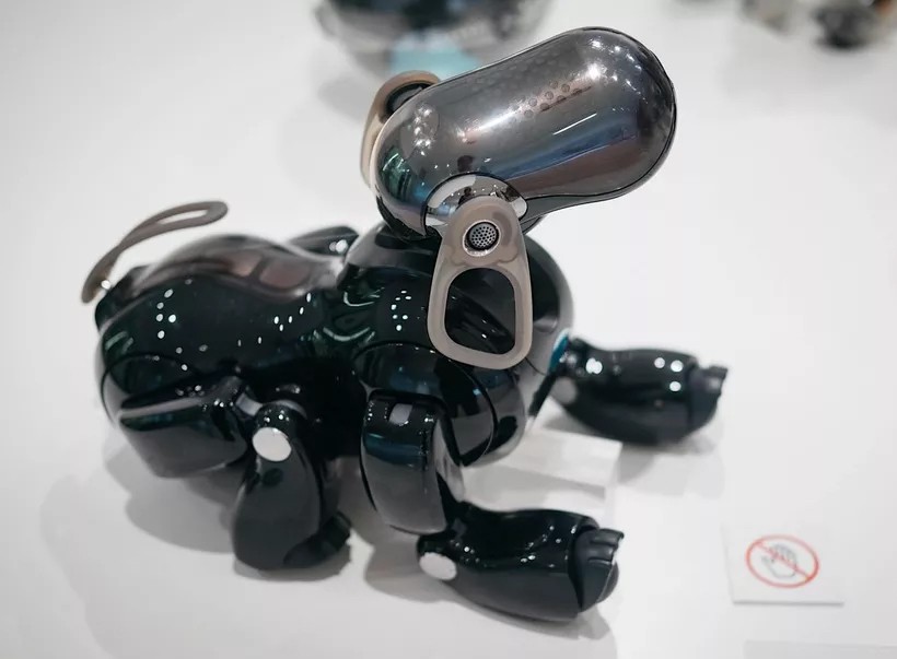Sony представит нового робота-собаку в следующем месяце