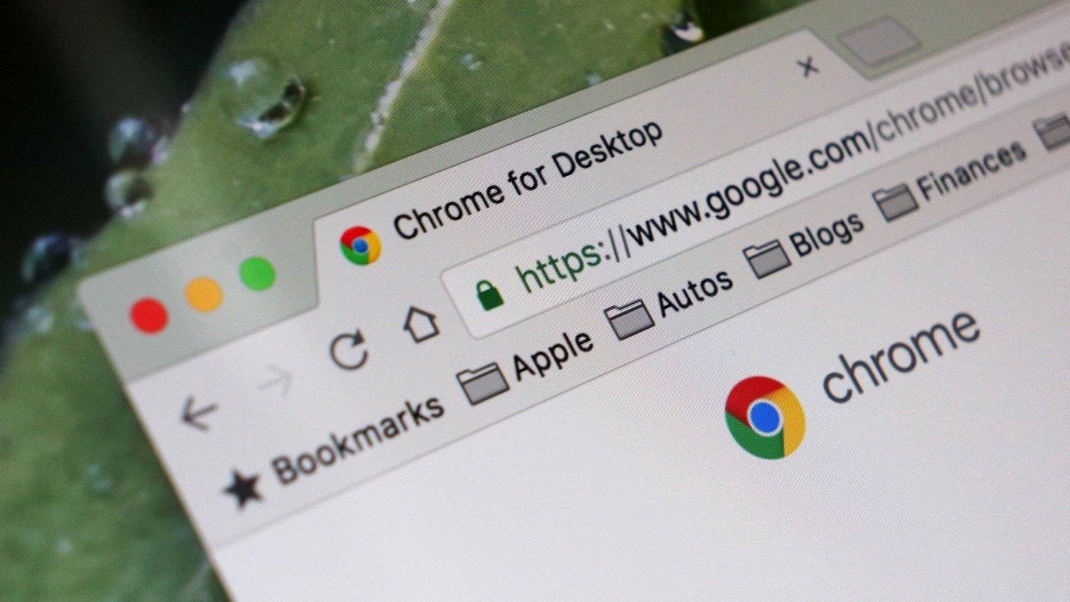 Обновлённый режим инкогнито в Chrome 76 позволит бесплатно читать платные статьи