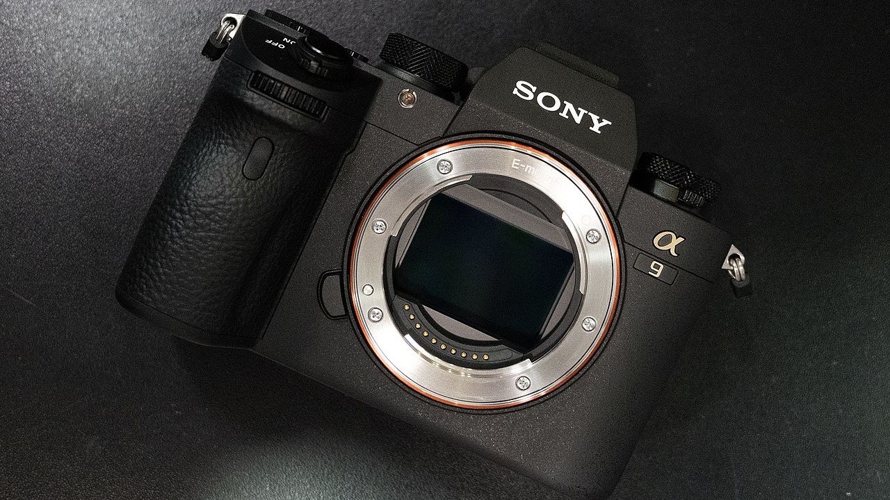 Обновление ПО для камеры Sony α9 привнесло автофокус по глазам и улучшенный баланс белого