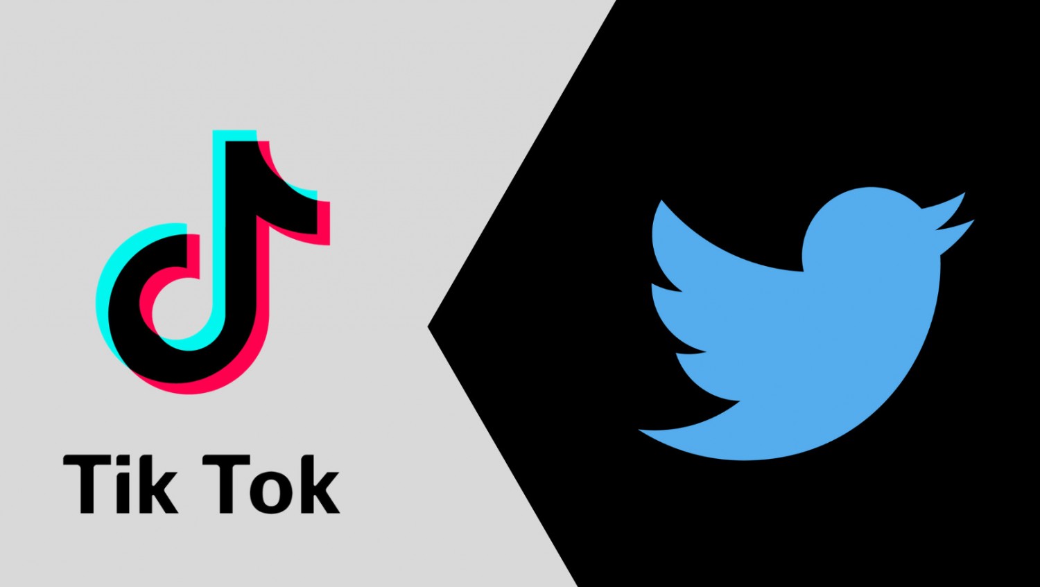 WSJ: Twitter и TikTok могут объединиться в США