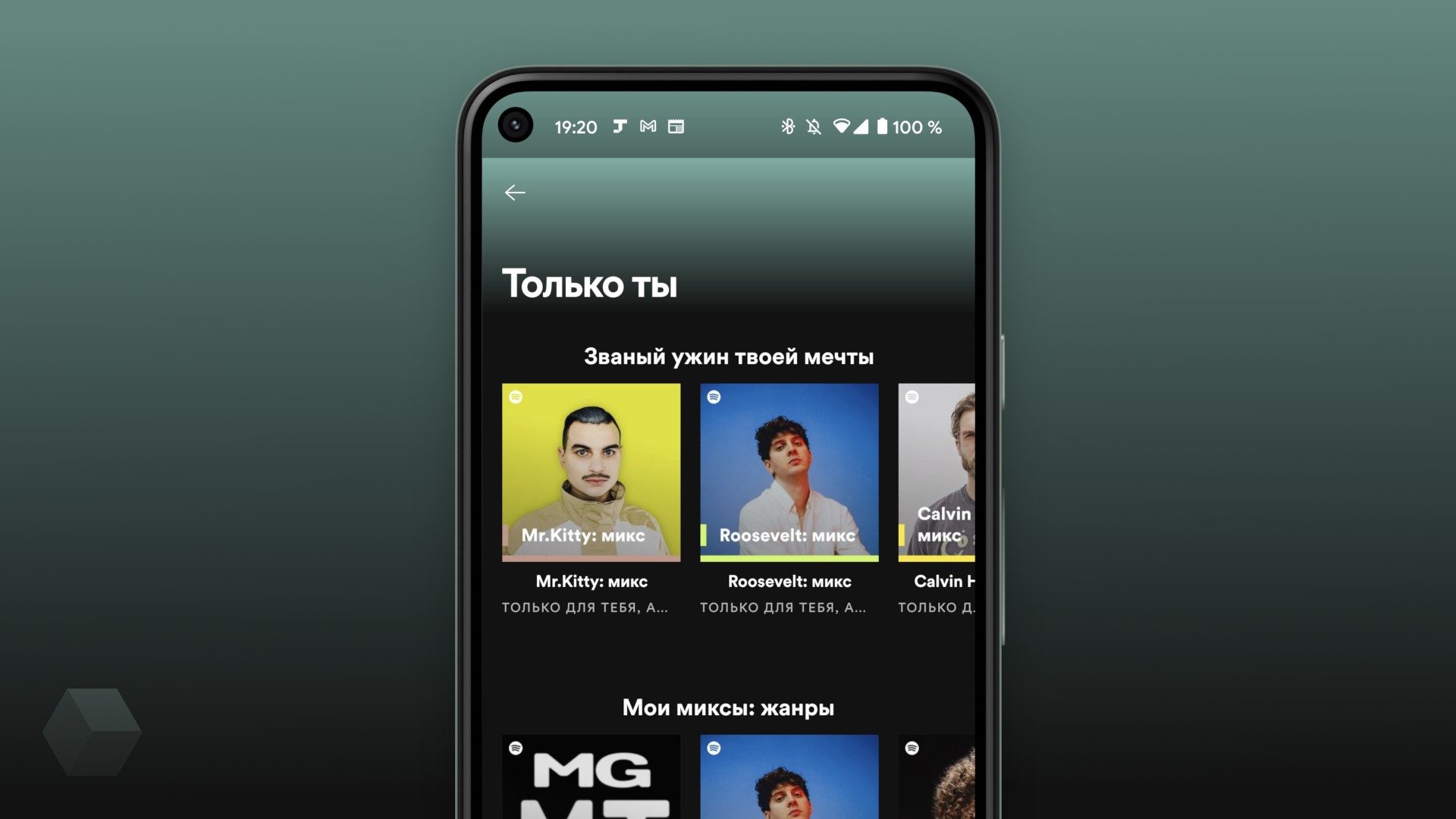 Новые плейлисты в Spotify в рамках кампании «Только ты» - Rozetked.me