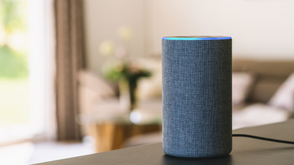 Alexa от Amazon предложила ребёнку смертельный челлендж
