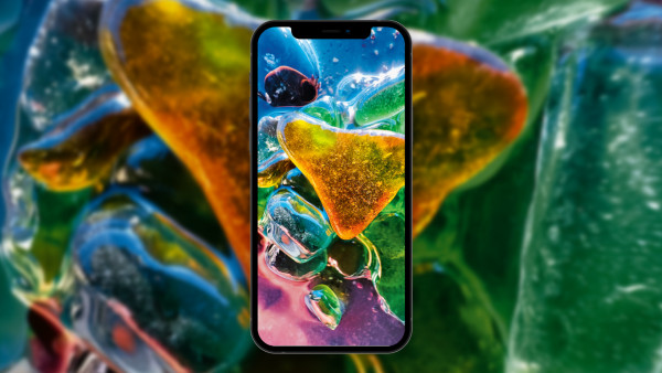Apple объявила победителей конкурса по макрофото на iPhone 13 Pro и 13 Pro Max
