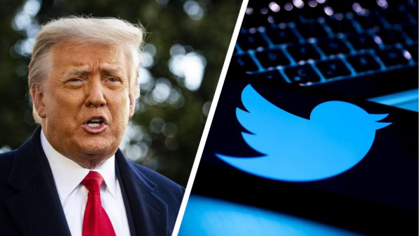 Илон Маск разблокировал аккаунт Дональда Трампа в Twitter по итогам опроса