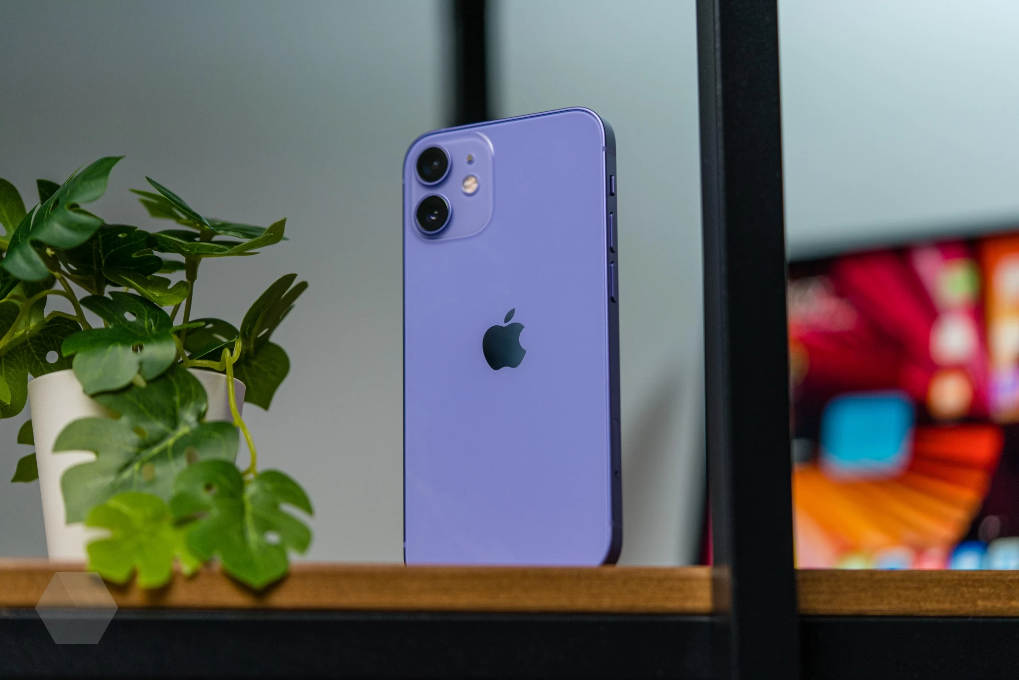 Смотрим на фиолетовый iPhone 12. Почему фиолетовый? - Rozetked.me