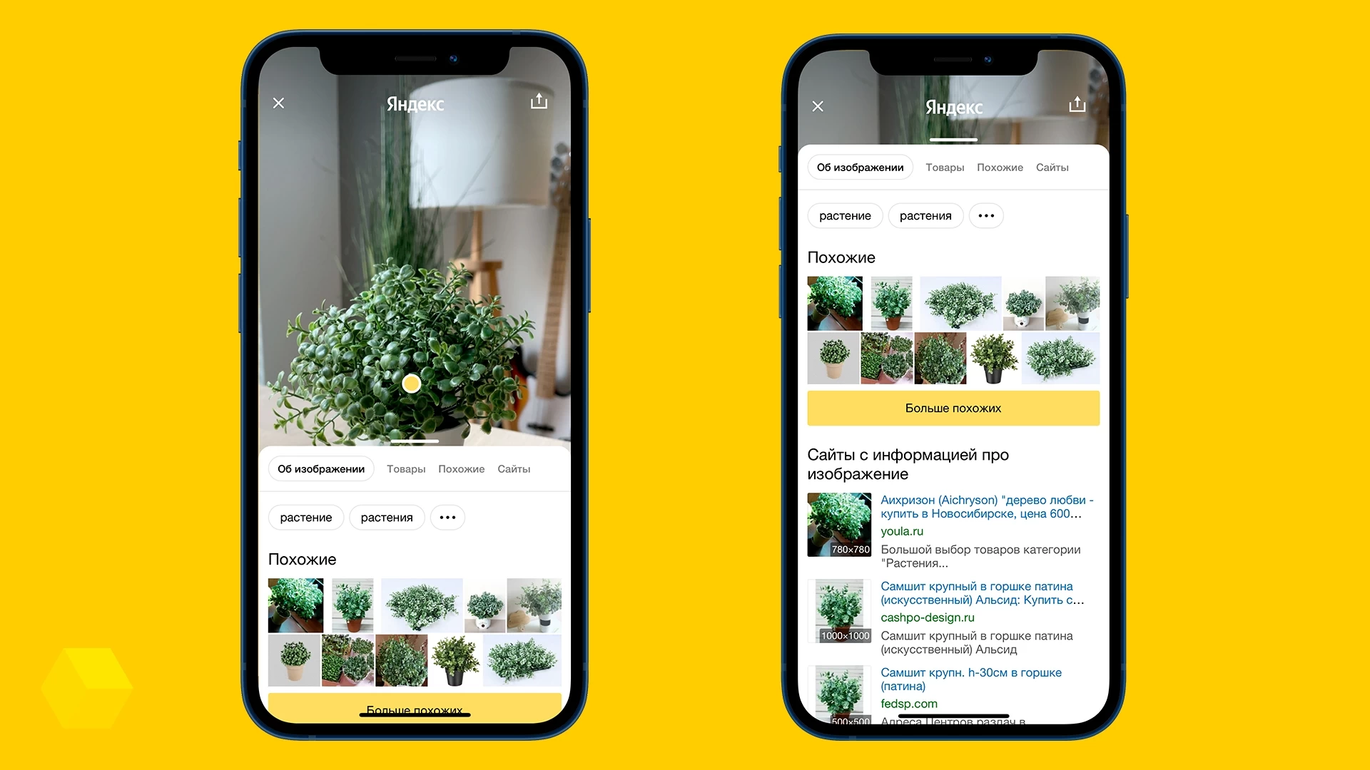 Распознавание по фото растений приложение онлайн