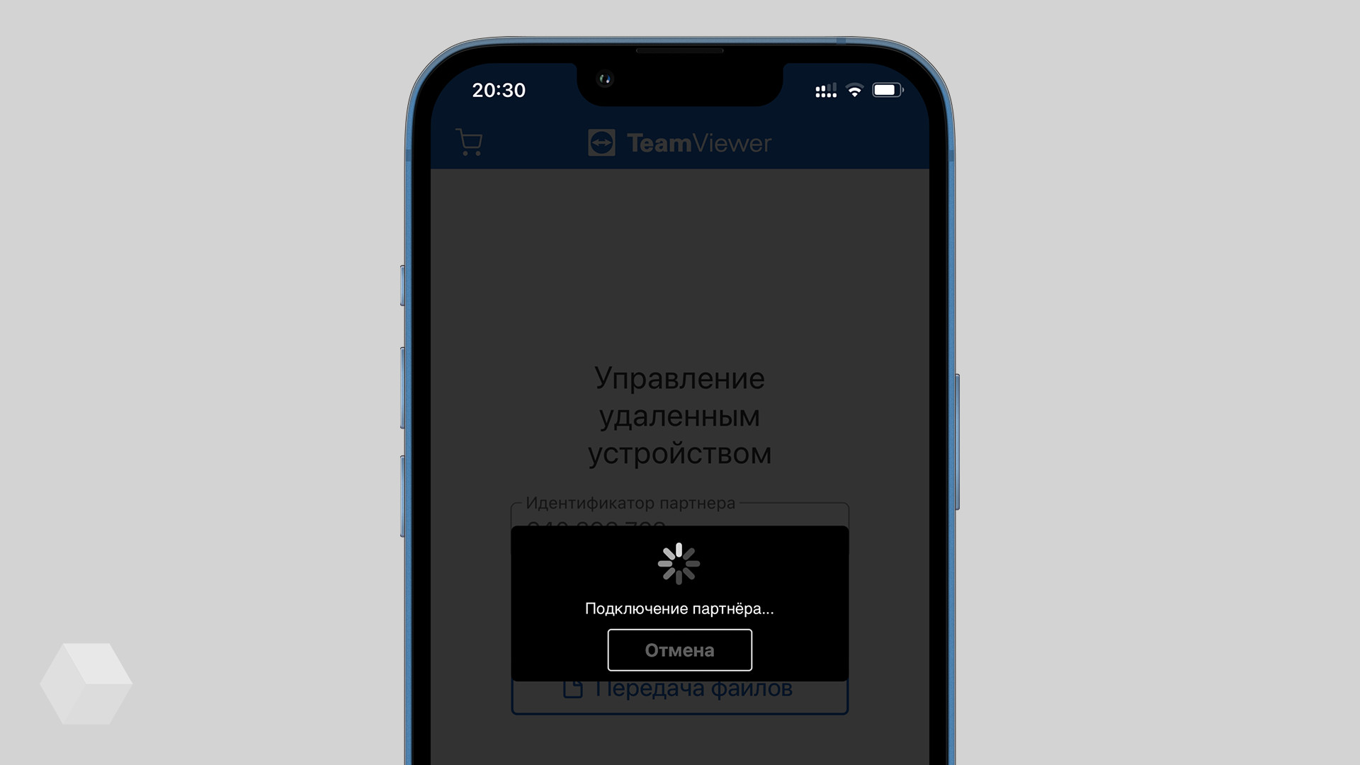 Программа TeamViewer перестала работать в России и Беларуси - Rozetked.me